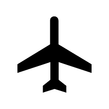 IGI Airport - 30 Min